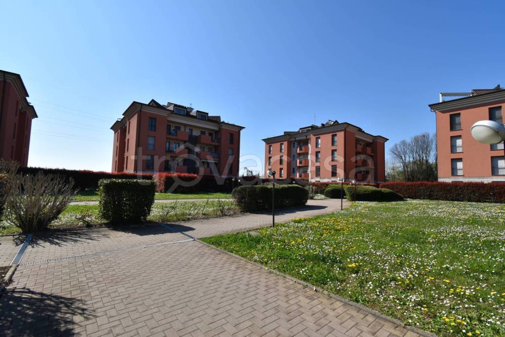 immagine annuncio 7 di 15