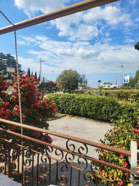 immagine annuncio 3 di 14