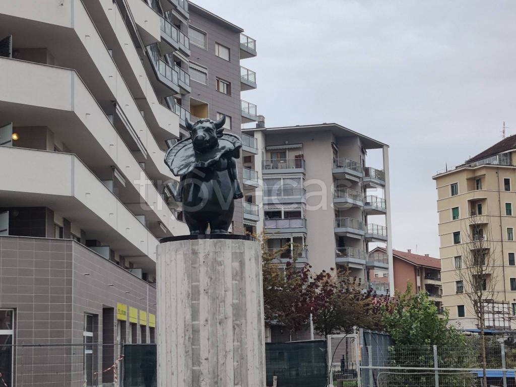 immagine annuncio 5 di 14