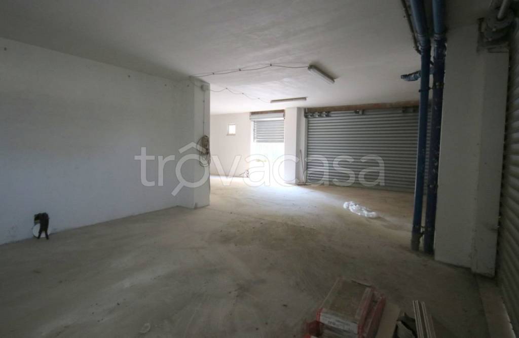 immagine annuncio 6 di 7