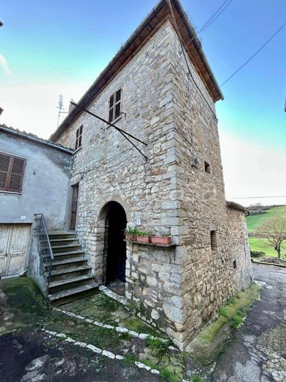 immagine annuncio 6 di 14