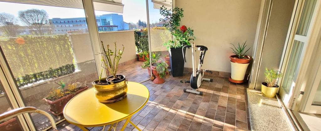 immagine annuncio 5 di 15