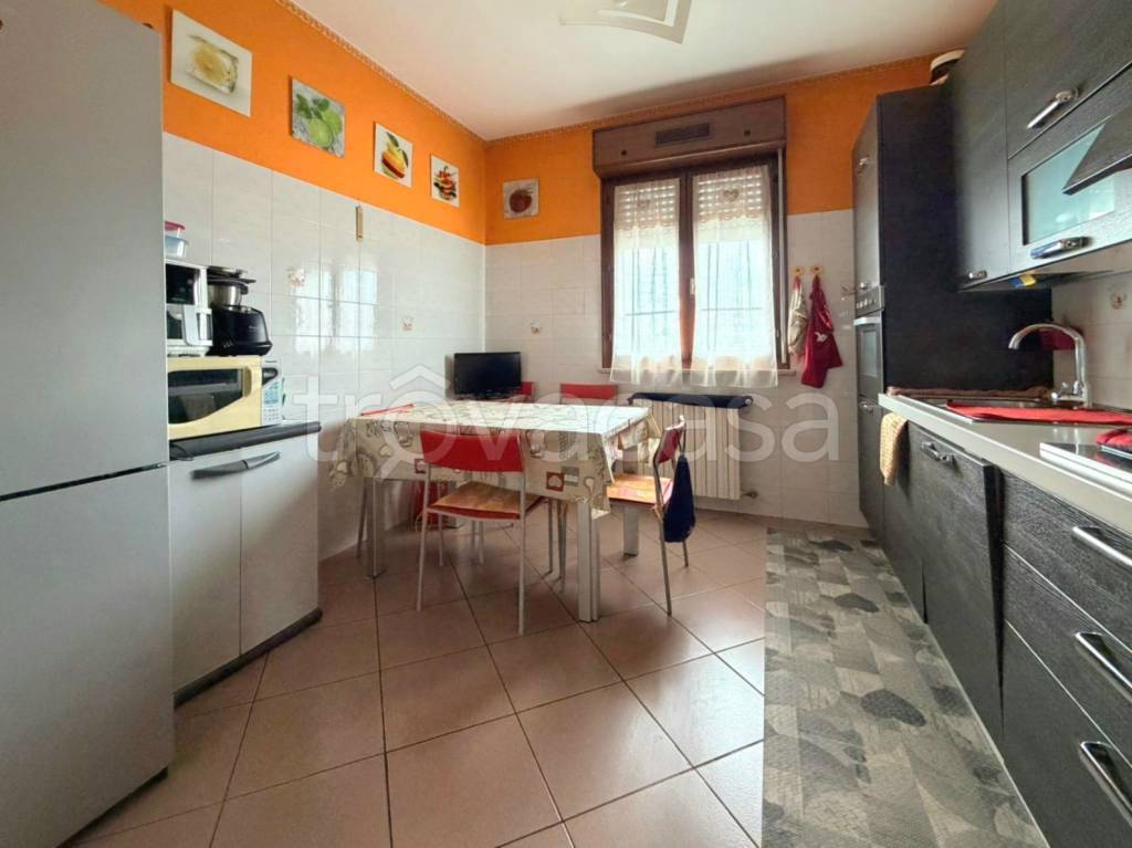 immagine annuncio 3 di 11