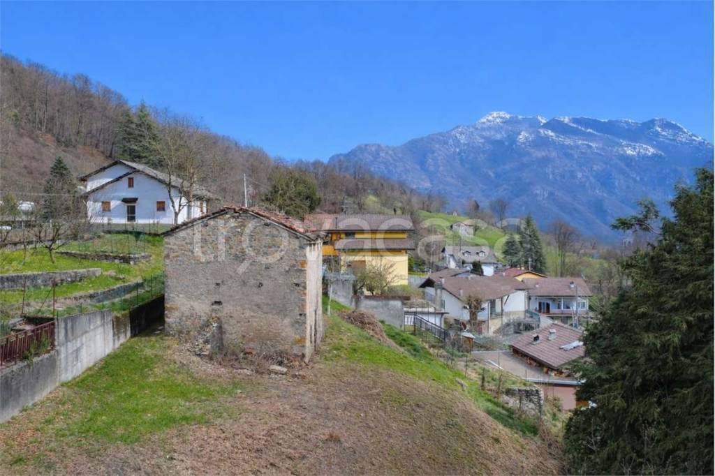 immagine annuncio 9 di 12