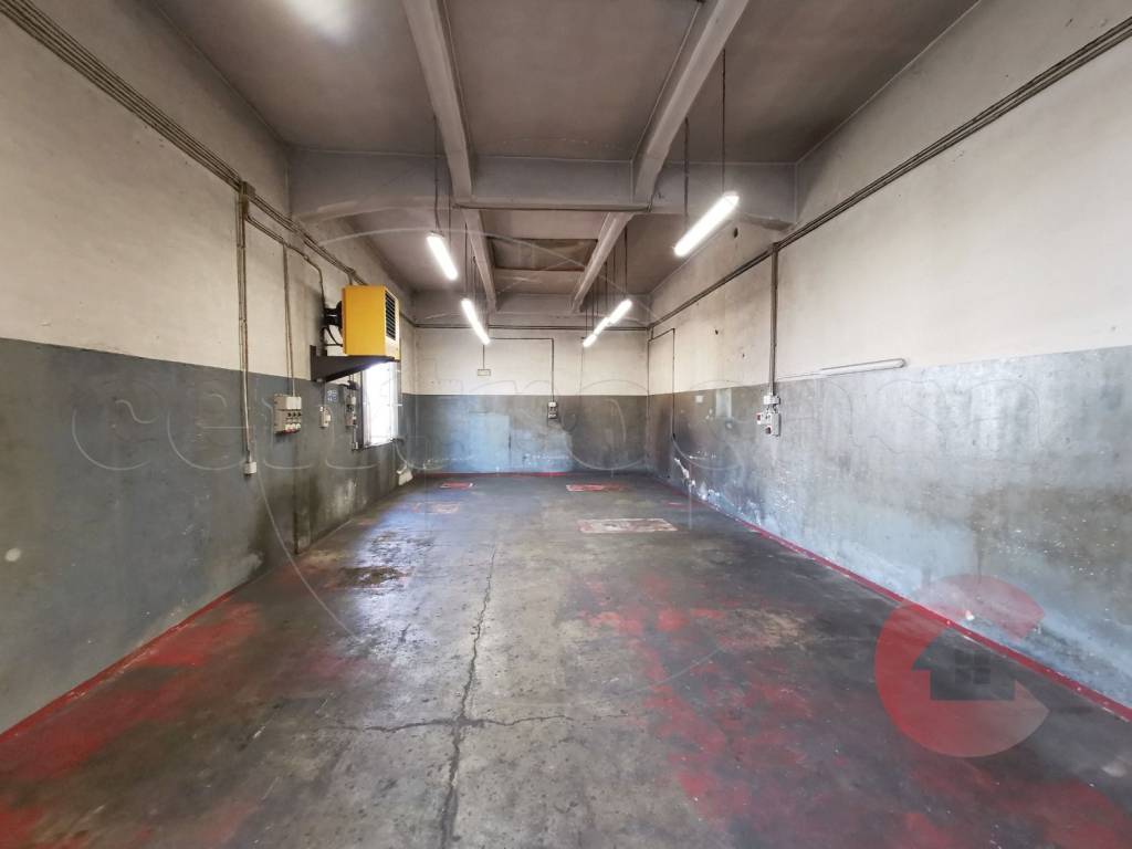 immagine annuncio 9 di 15