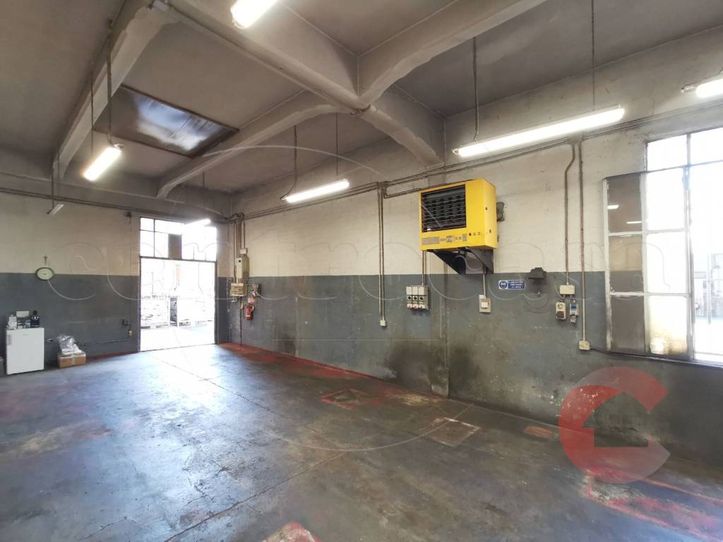 immagine annuncio 11 di 15