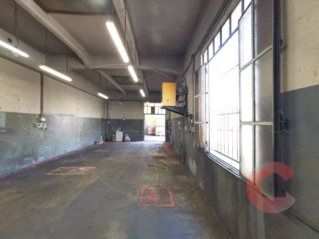 immagine annuncio 12 di 15