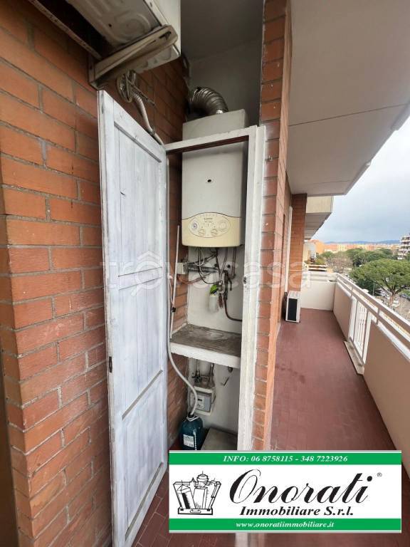 immagine annuncio 12 di 14