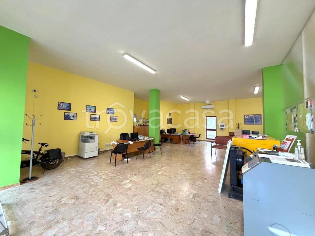 immagine annuncio 3 di 11