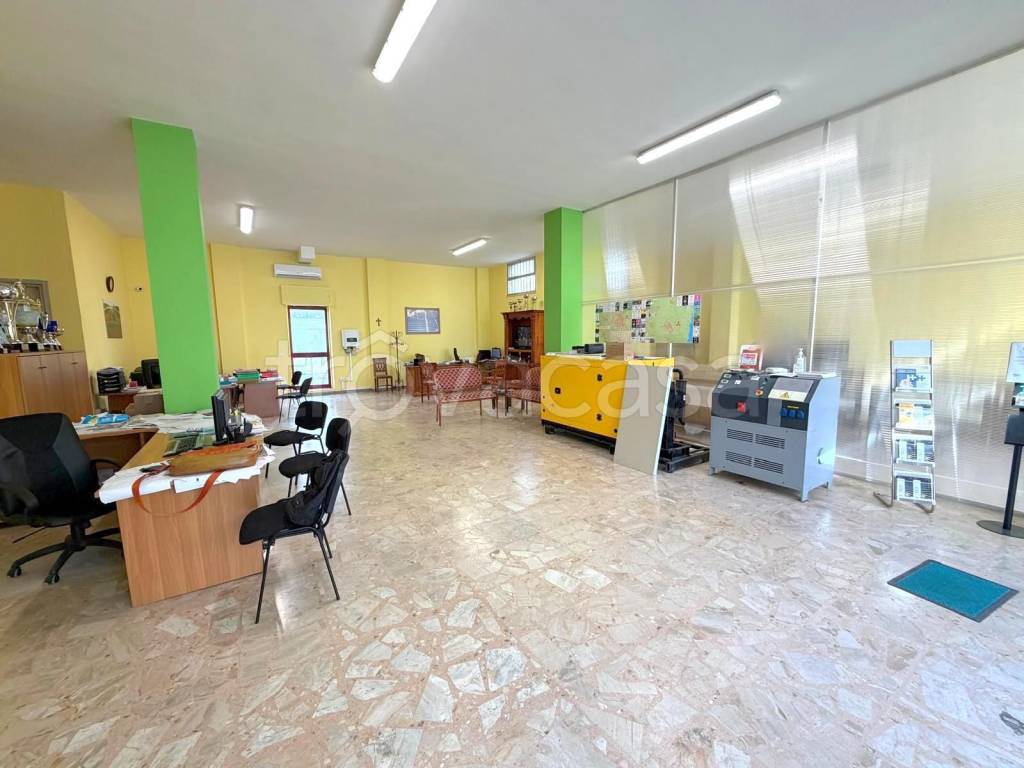 immagine annuncio 4 di 11