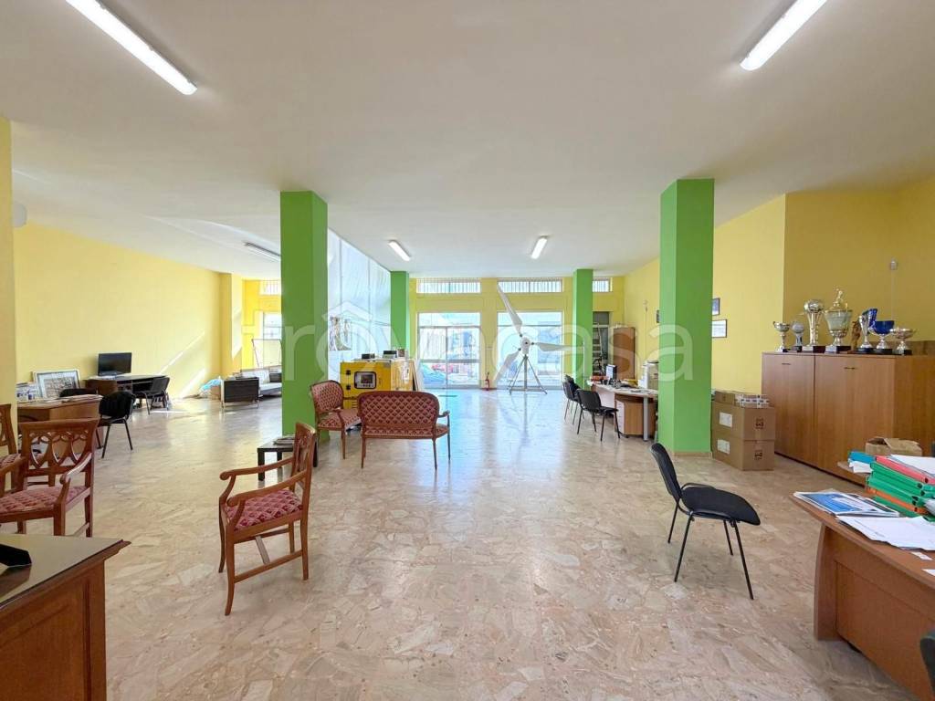 immagine annuncio 5 di 11