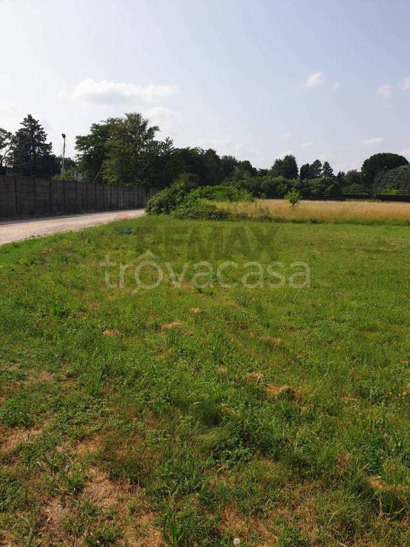 immagine annuncio 2 di 11