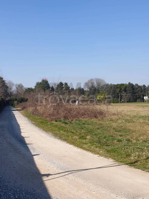 immagine annuncio 4 di 11