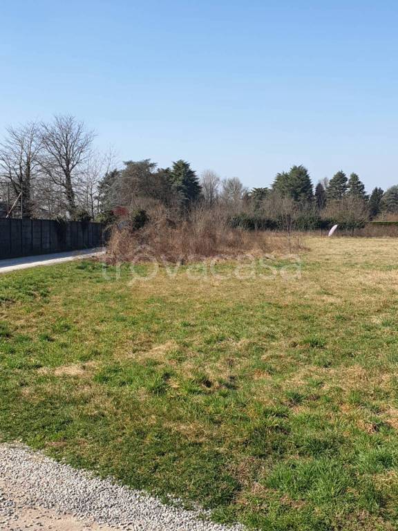 immagine annuncio 5 di 11