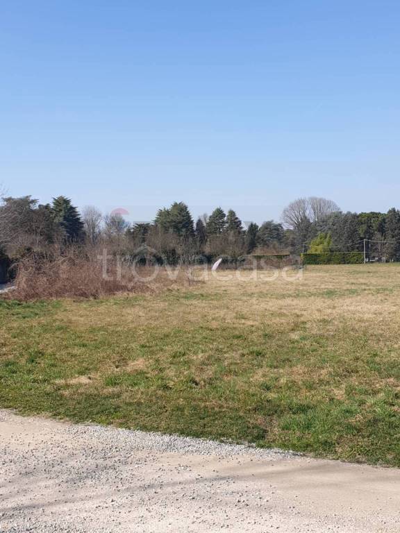 immagine annuncio 6 di 11