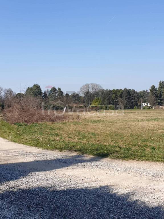 immagine annuncio 8 di 11