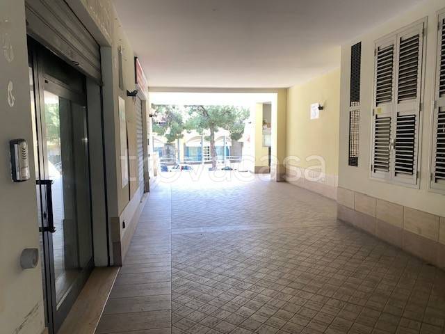 immagine annuncio 7 di 9