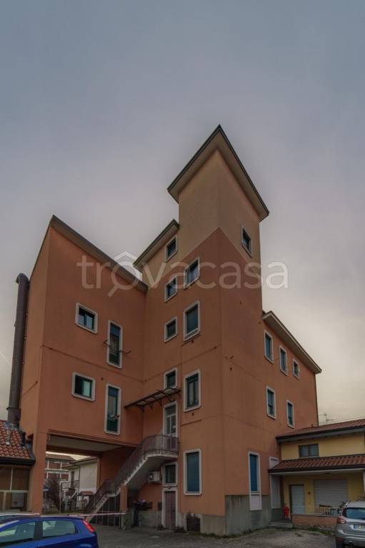 immagine annuncio 7 di 15