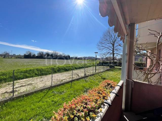 immagine annuncio 3 di 14