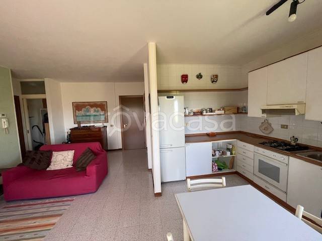 immagine annuncio 5 di 14