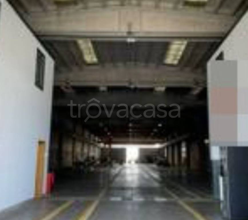 immagine annuncio 5 di 13