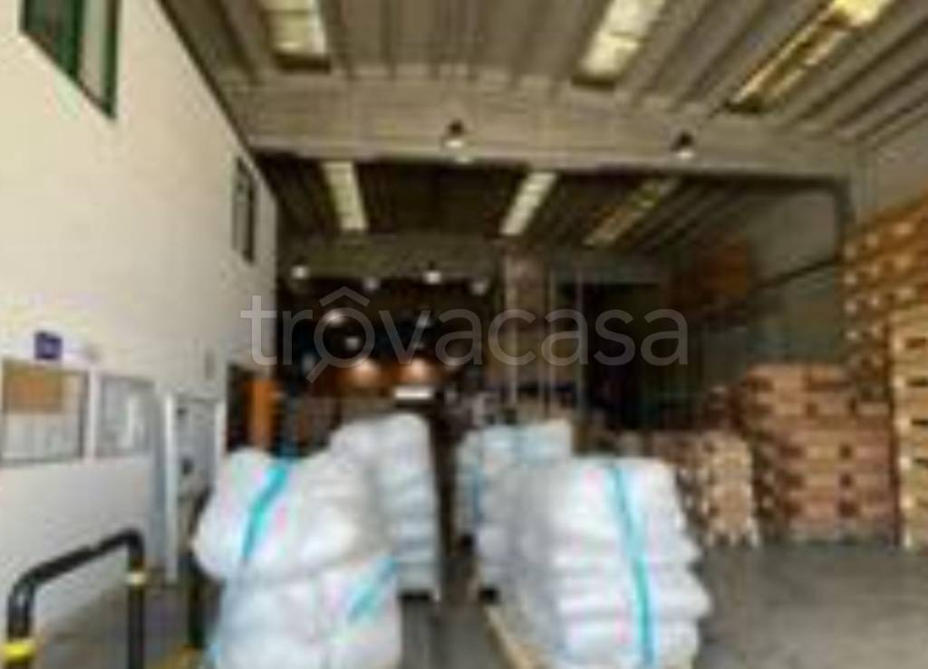 immagine annuncio 7 di 13