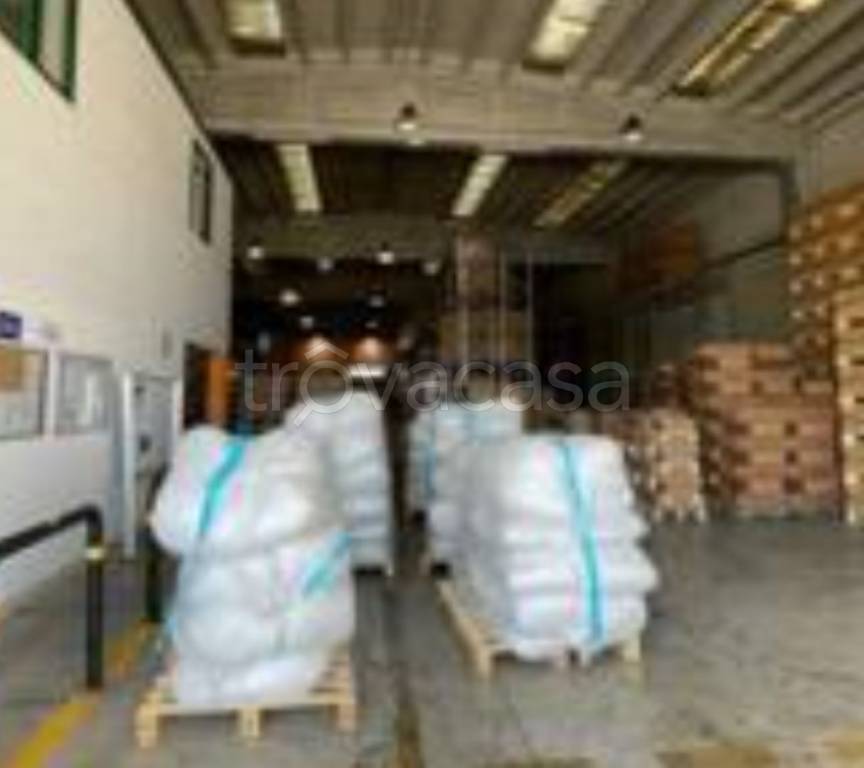 immagine annuncio 8 di 13