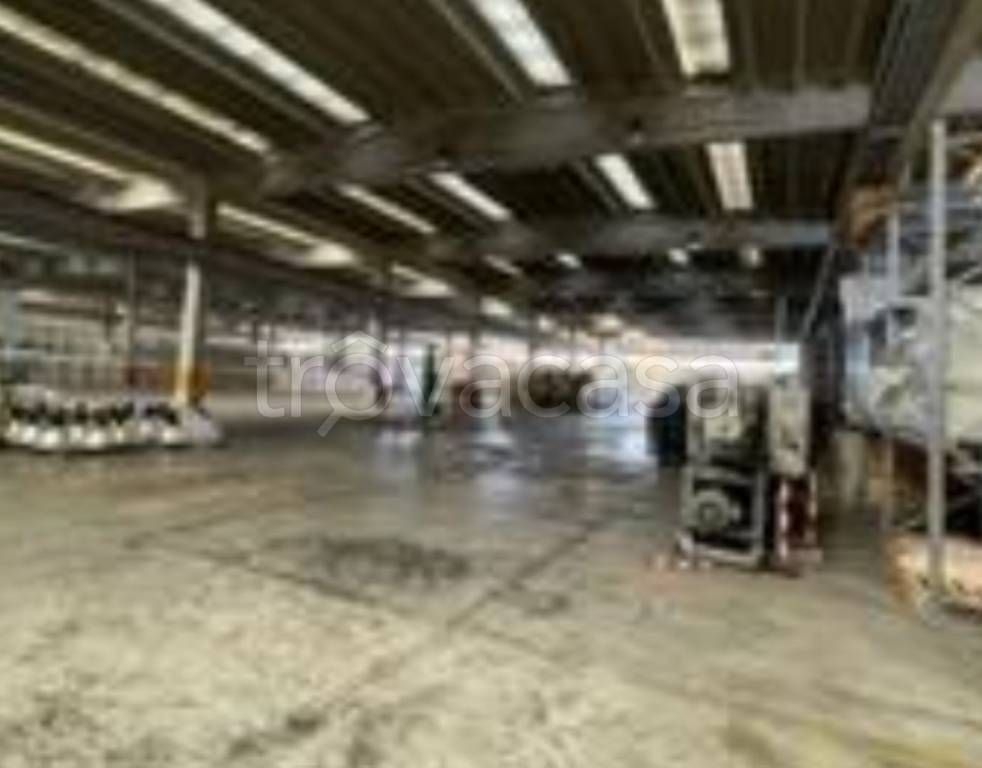 immagine annuncio 9 di 13