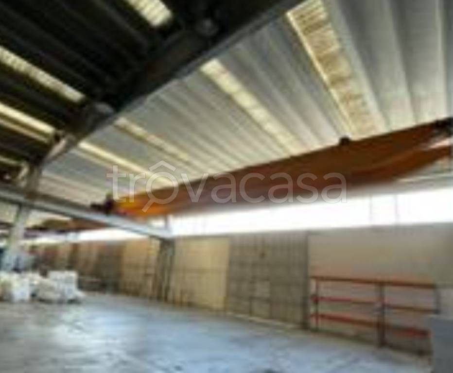 immagine annuncio 10 di 13