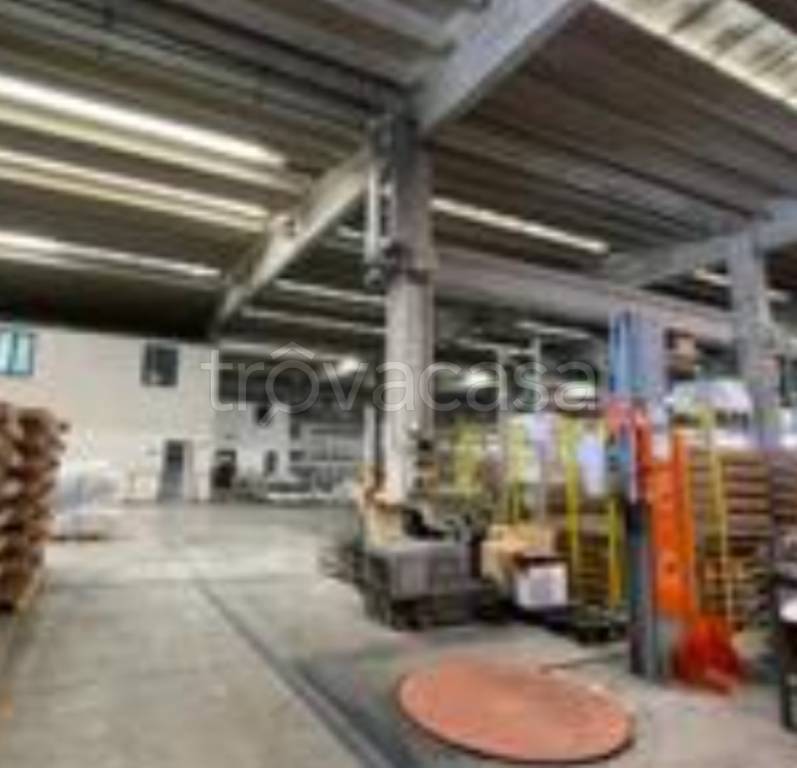 immagine annuncio 12 di 13