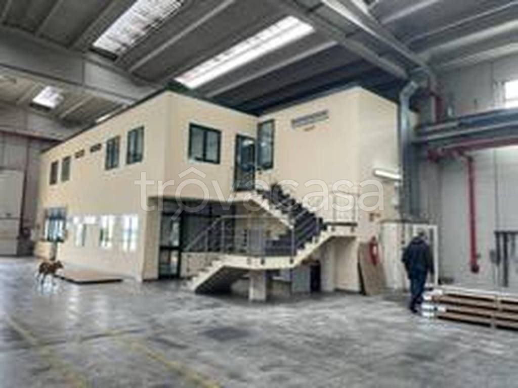 immagine annuncio 5 di 12