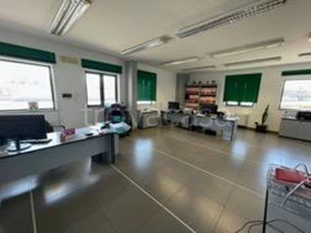 immagine annuncio 9 di 12