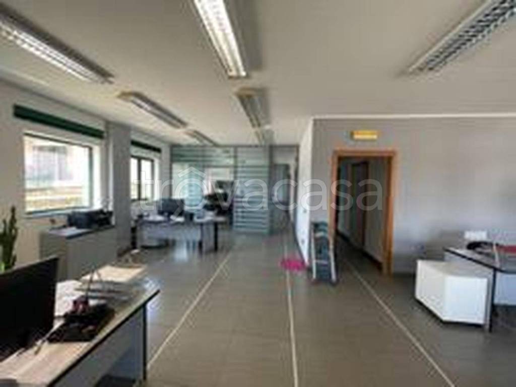 immagine annuncio 10 di 12