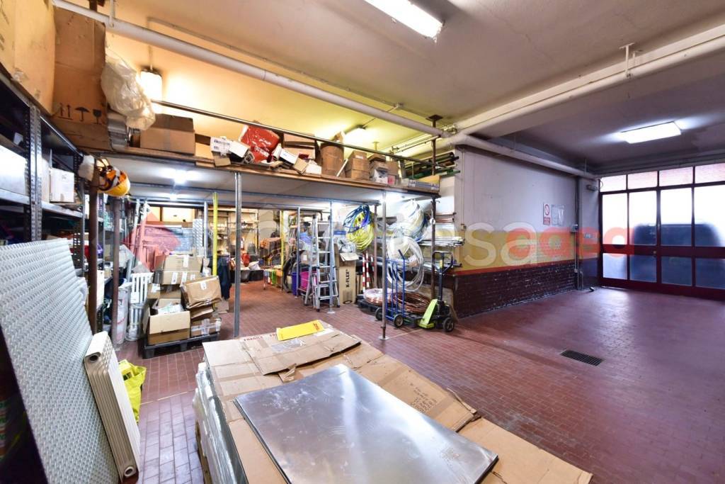 immagine annuncio 5 di 14