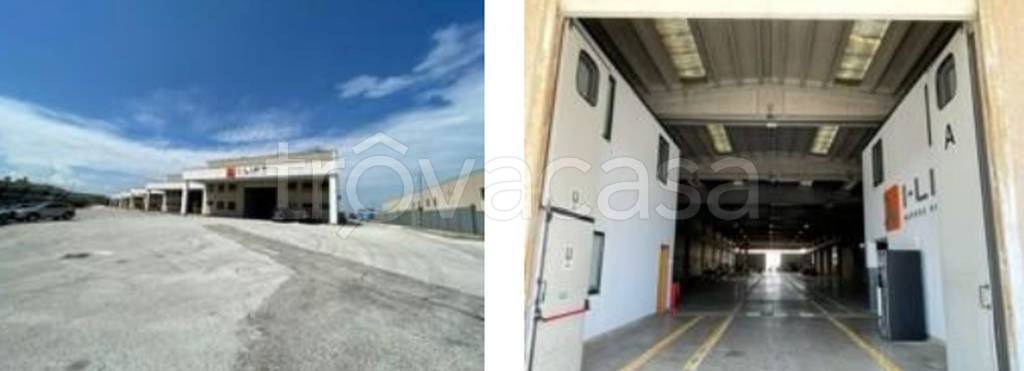 immagine annuncio 8 di 11