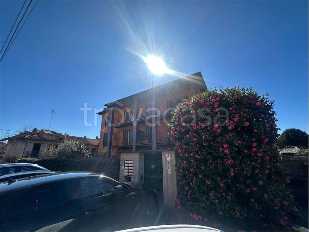 immagine annuncio 12 di 13