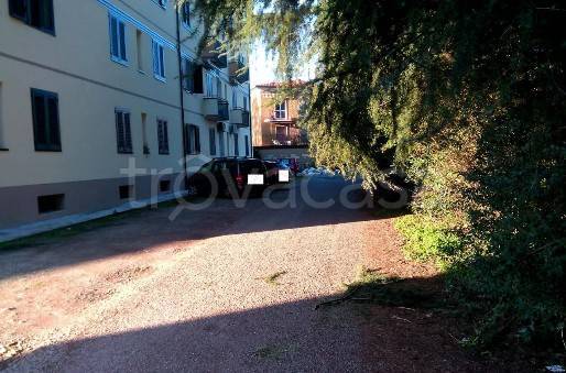 immagine annuncio 3 di 8