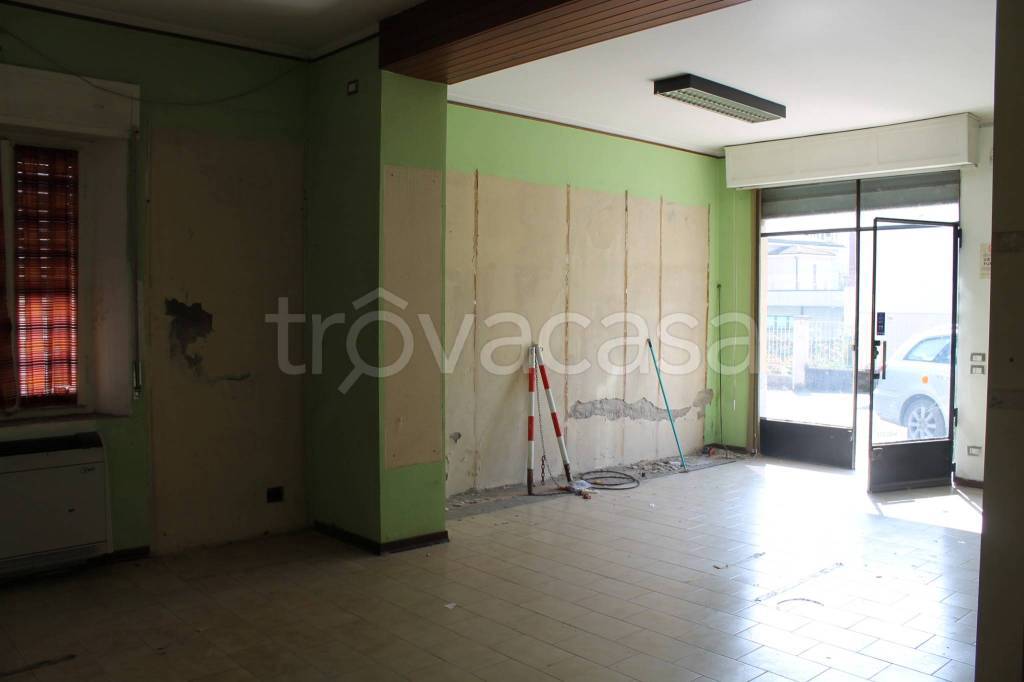 immagine annuncio 2 di 7