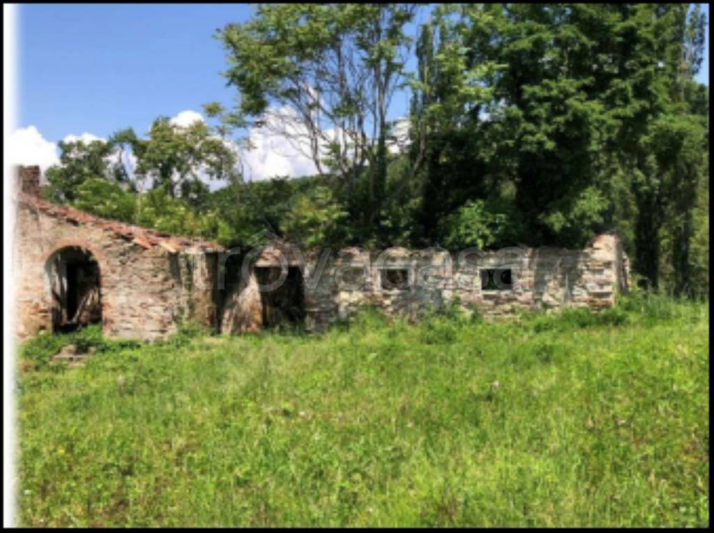 immagine annuncio 5 di 14