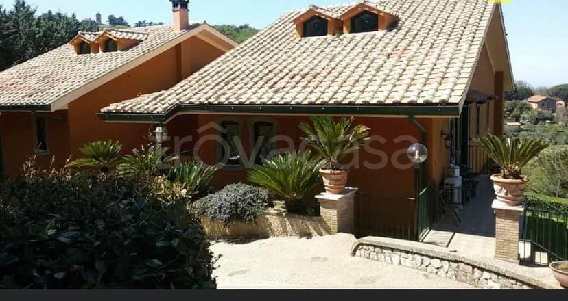 immagine annuncio 3 di 13