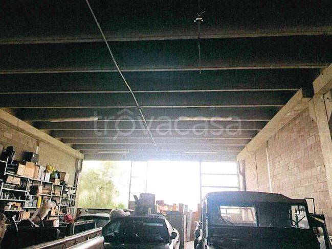 immagine annuncio 3 di 10