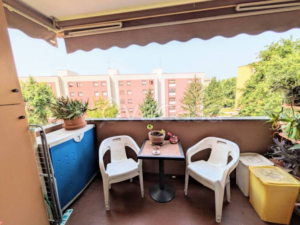 immagine annuncio 9 di 15