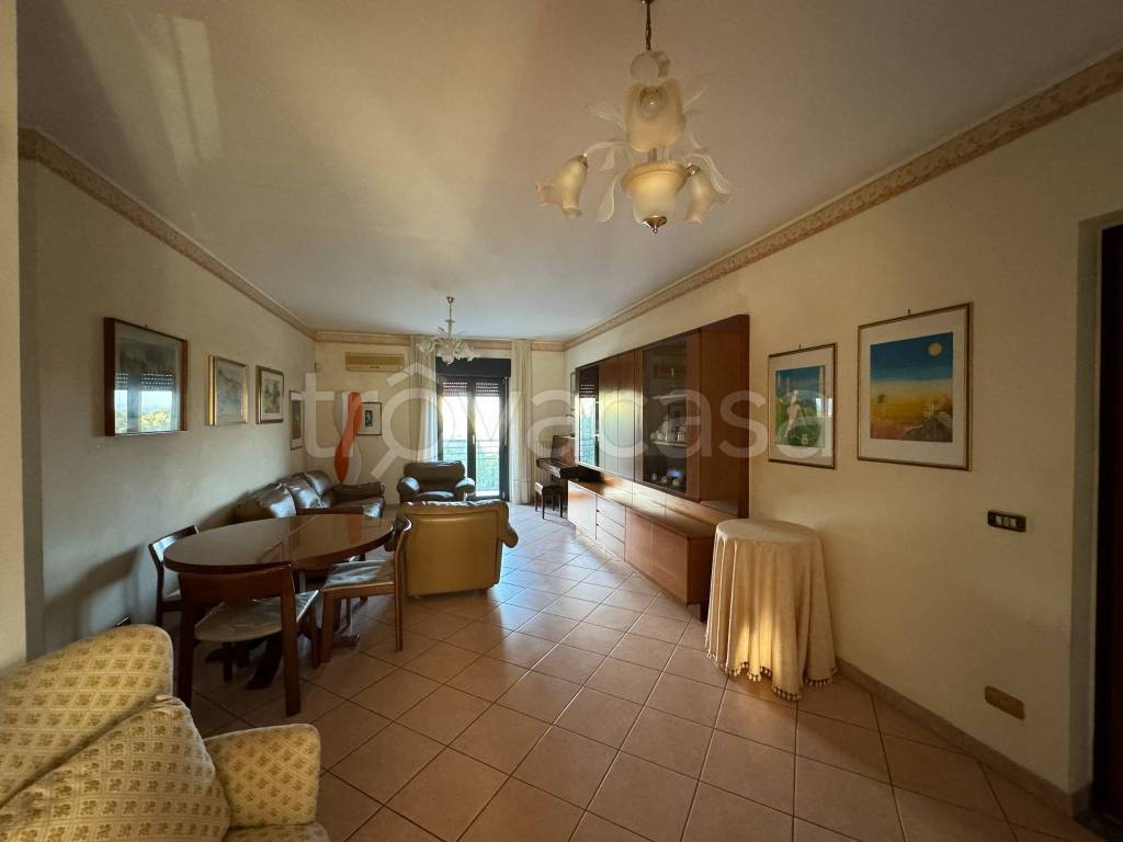 immagine annuncio 3 di 12