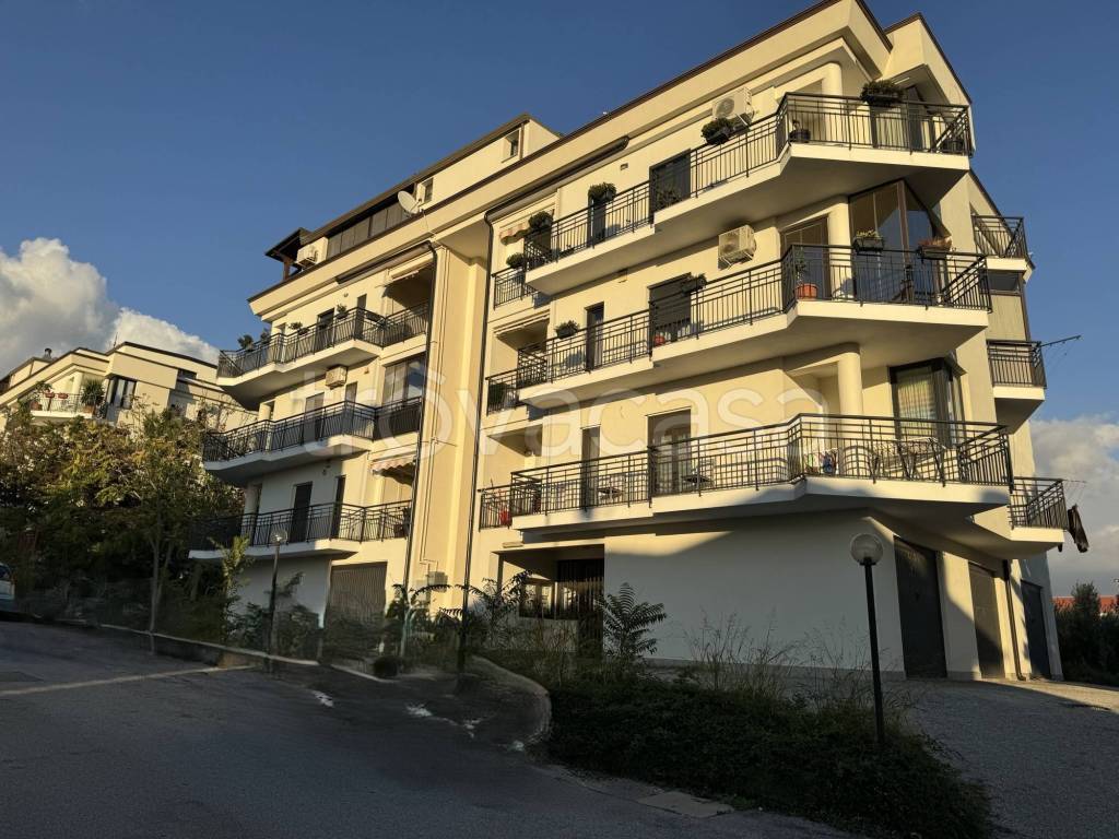 immagine annuncio 11 di 12