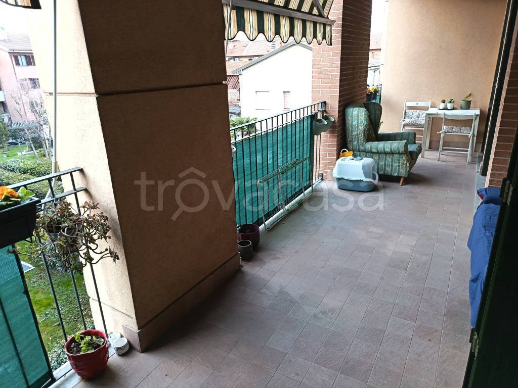 immagine annuncio 9 di 15