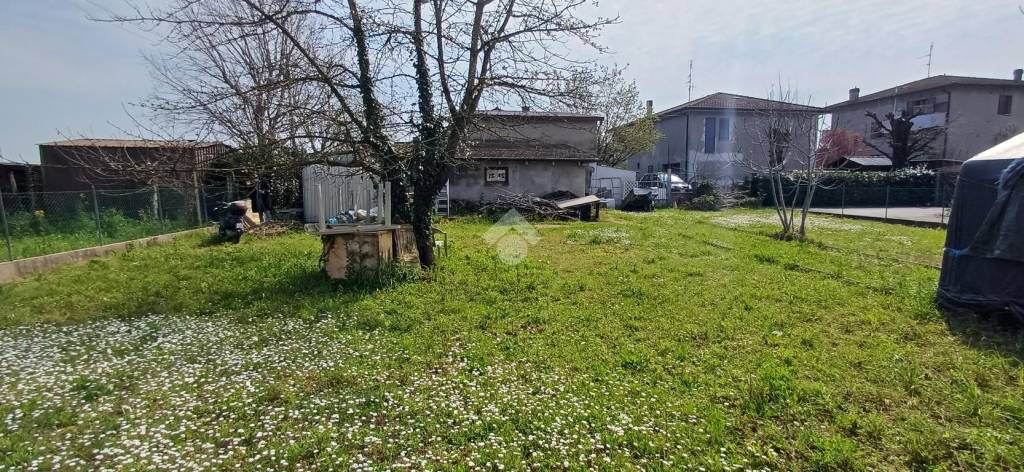 immagine annuncio 4 di 8