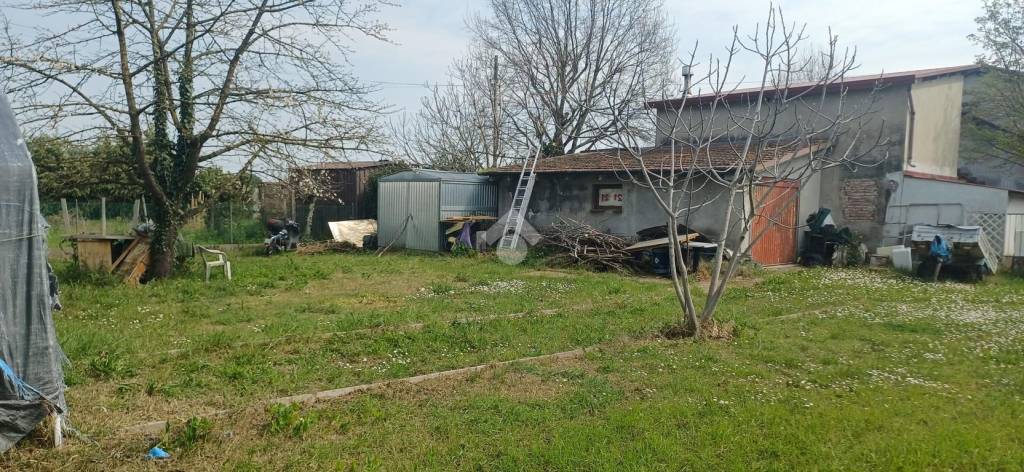 immagine annuncio 6 di 8