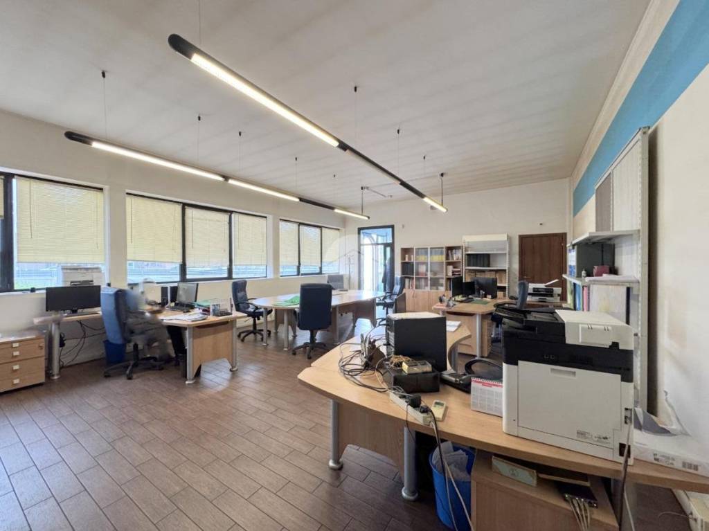 immagine annuncio 6 di 10