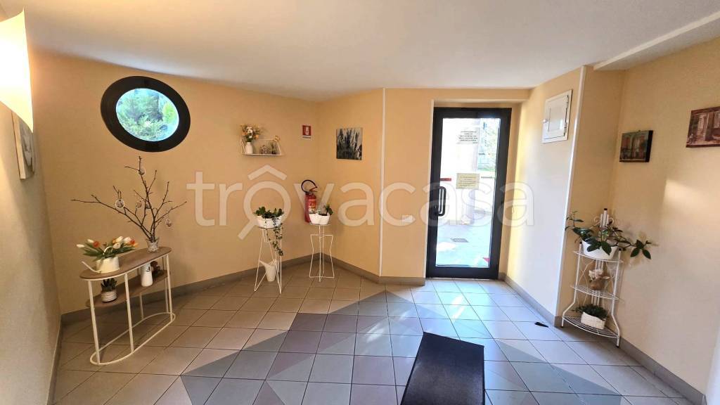 immagine annuncio 11 di 14