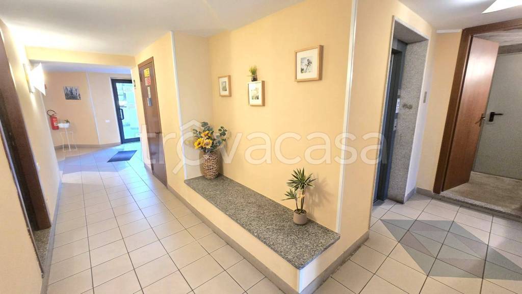 immagine annuncio 12 di 14